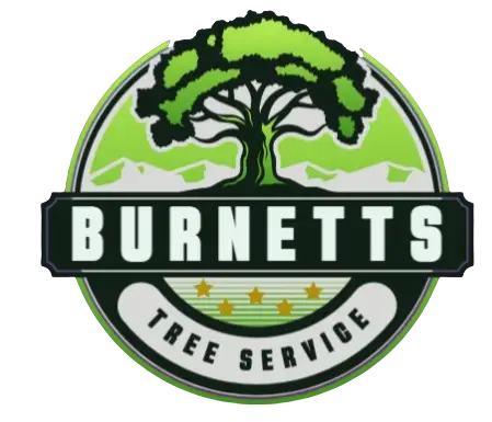 Tree Service Urbana IL | Burnett Tree Service